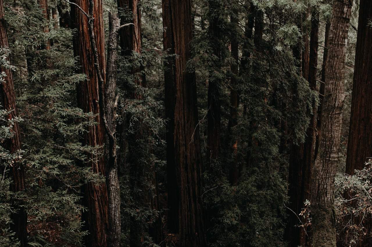 Meet Jalisco's Pioneer Venture Capitalist - Redwood Ventures' Ian Paul Otero