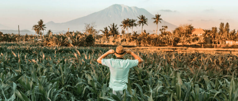 12 Startups Brasileñas Revolucionando La Industria Agrotecnológica