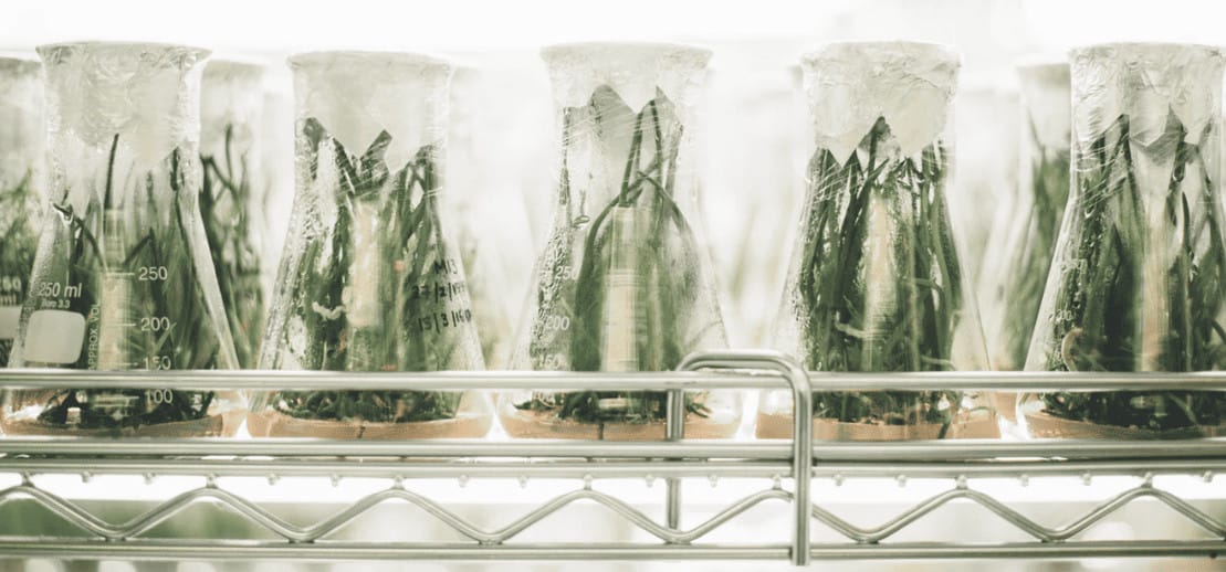 Ganesha Lab From Chile Announces Accelerator For Latin American Biotech Startups