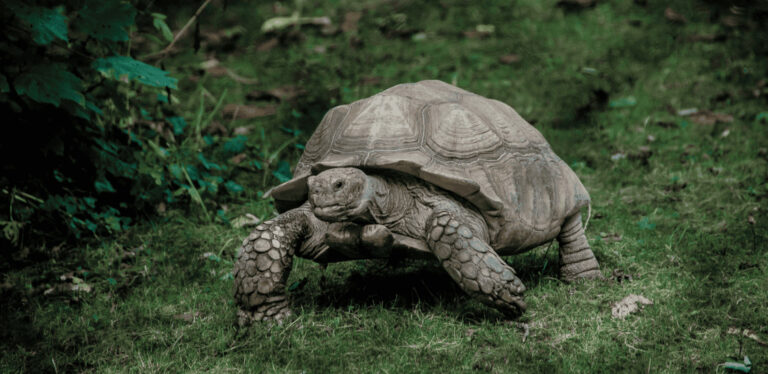 Decelera Organizes "deceleration" Program In Playa Del Carmen