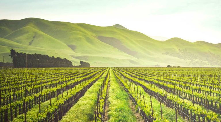 Agrosmart From Brazil Wraps Up Us$5.5 Million Series A