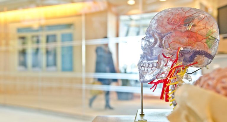 Brazilian Pharmaceutical Giant Eurofarma Debuts Vc Fund, Axon Ventures