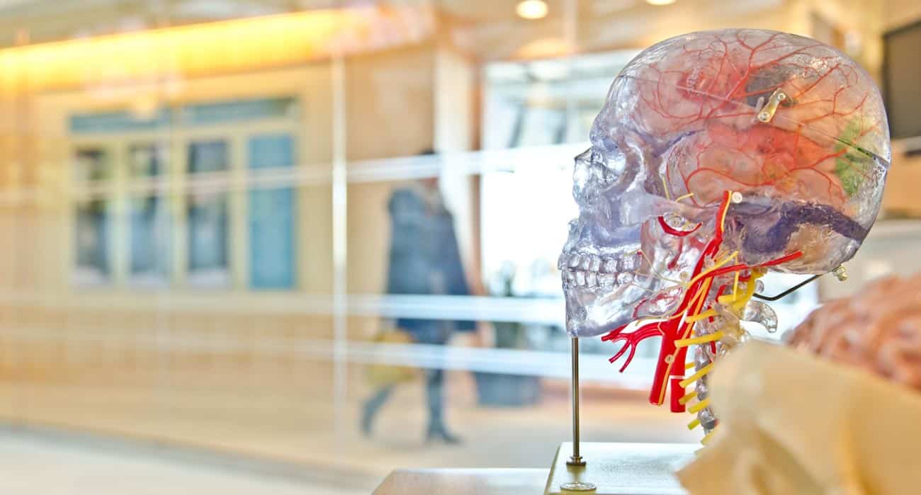 Brazilian Pharmaceutical Giant Eurofarma Debuts Vc Fund, Axon Ventures