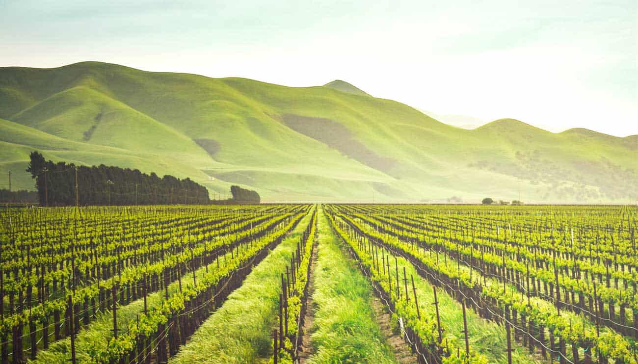 Idgeo Raises Over Us$171,000 To Expand Agrotech Solutions In Brazil