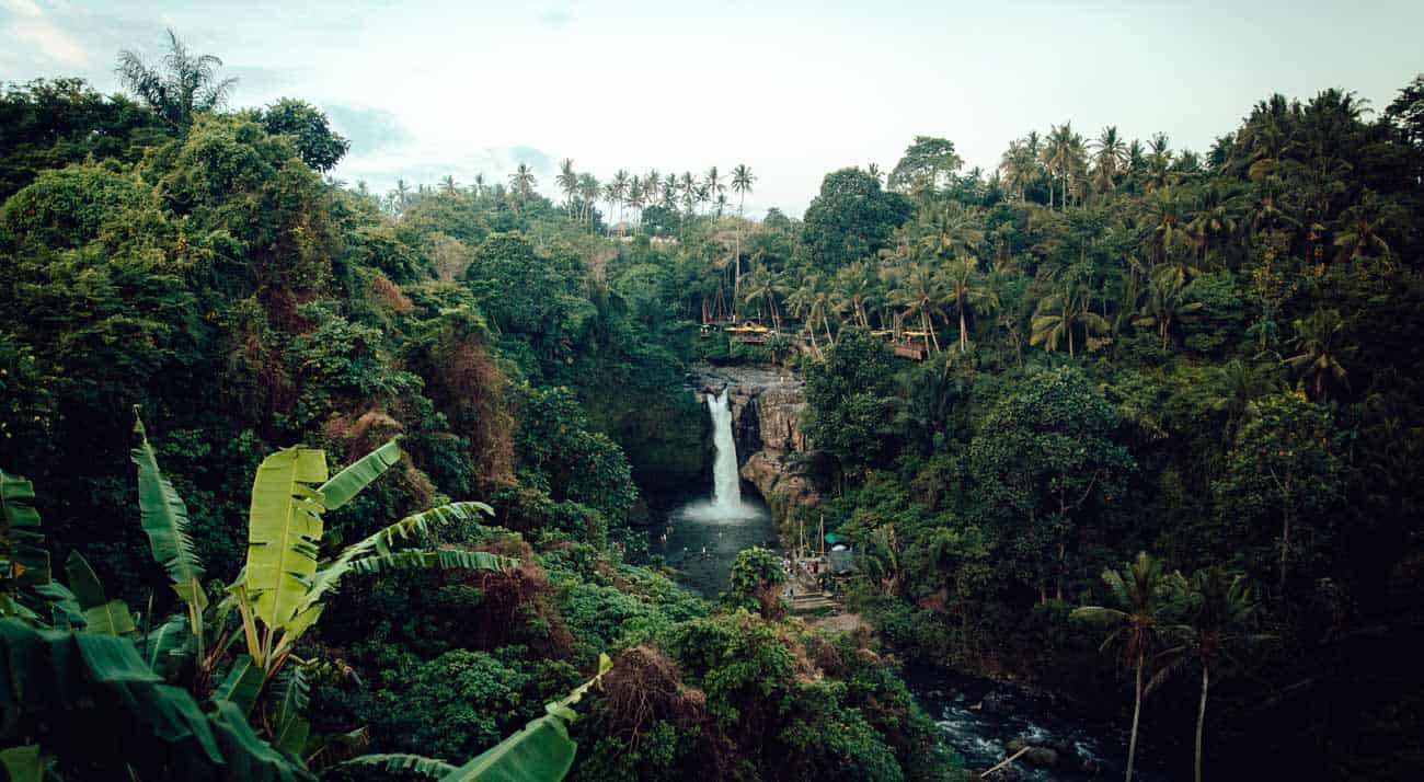 Selina Organiza Eventos Globales Para Promover La Restauración De La Selva Amazónica