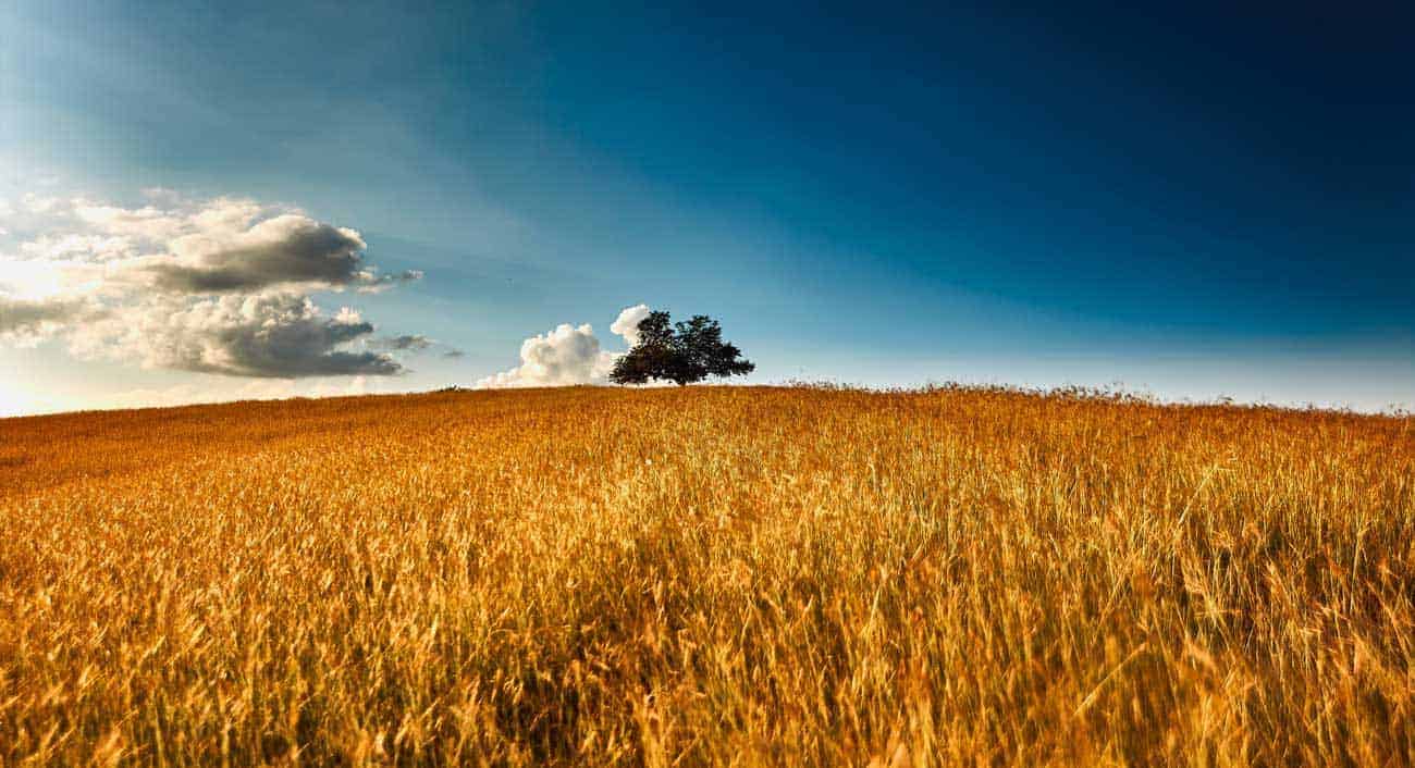 Waruwa Registers Over 1,000 Food Providers In Colombia To Transform Supply Chain