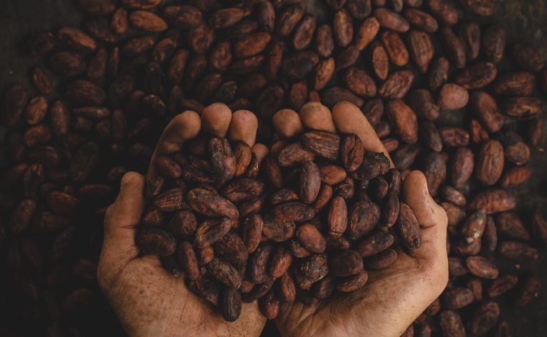 Inter-american Development Bank Will Use Us$600,000 To Help Small Mexican Farmers Through Blockchain