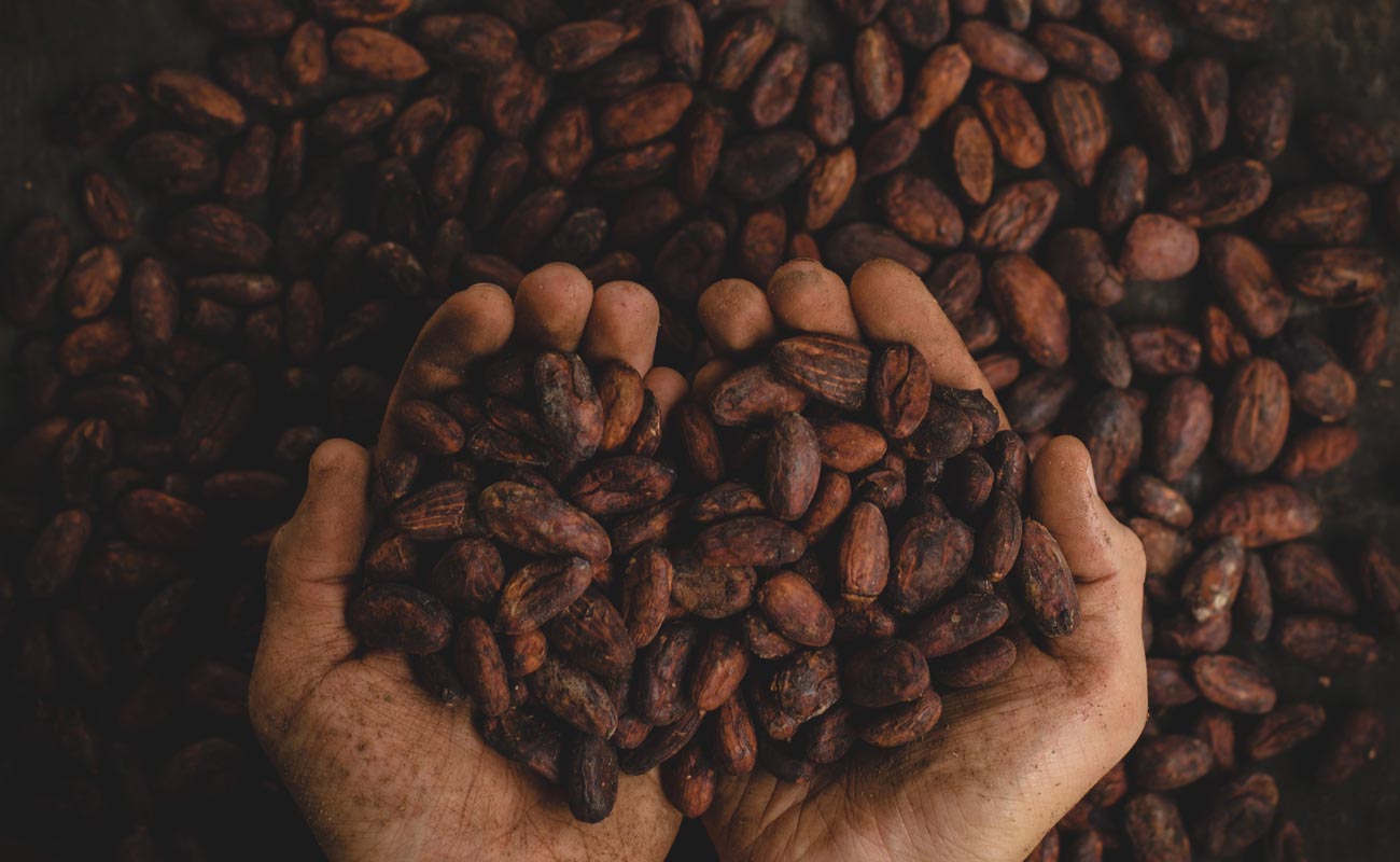 Inter-american Development Bank Will Use Us$600,000 To Help Small Mexican Farmers Through Blockchain