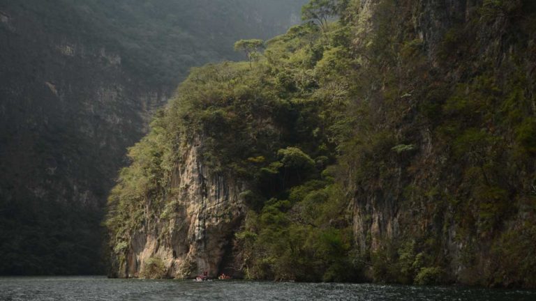 Adventures Await Travelers With Mexican Startup, Rutopía, And Airbnb