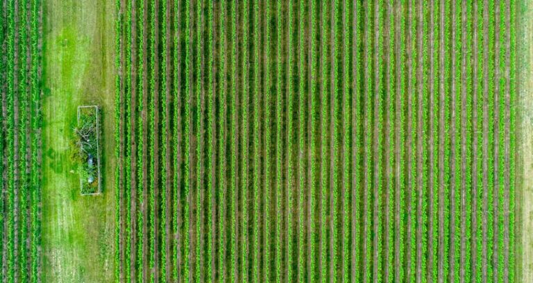 Atomic Agro Developed Social Media App For Farmers, And Now Raises Investment