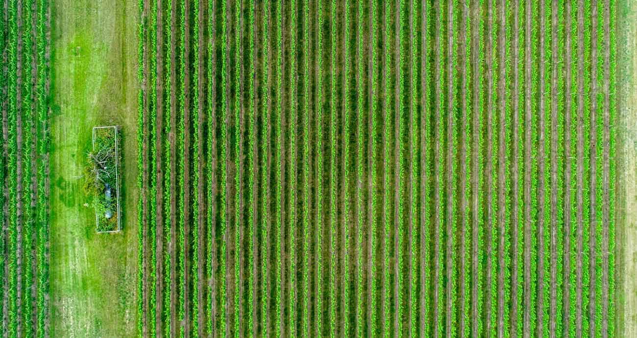 Atomic Agro Developed Social Media App For Farmers, And Now Raises Investment