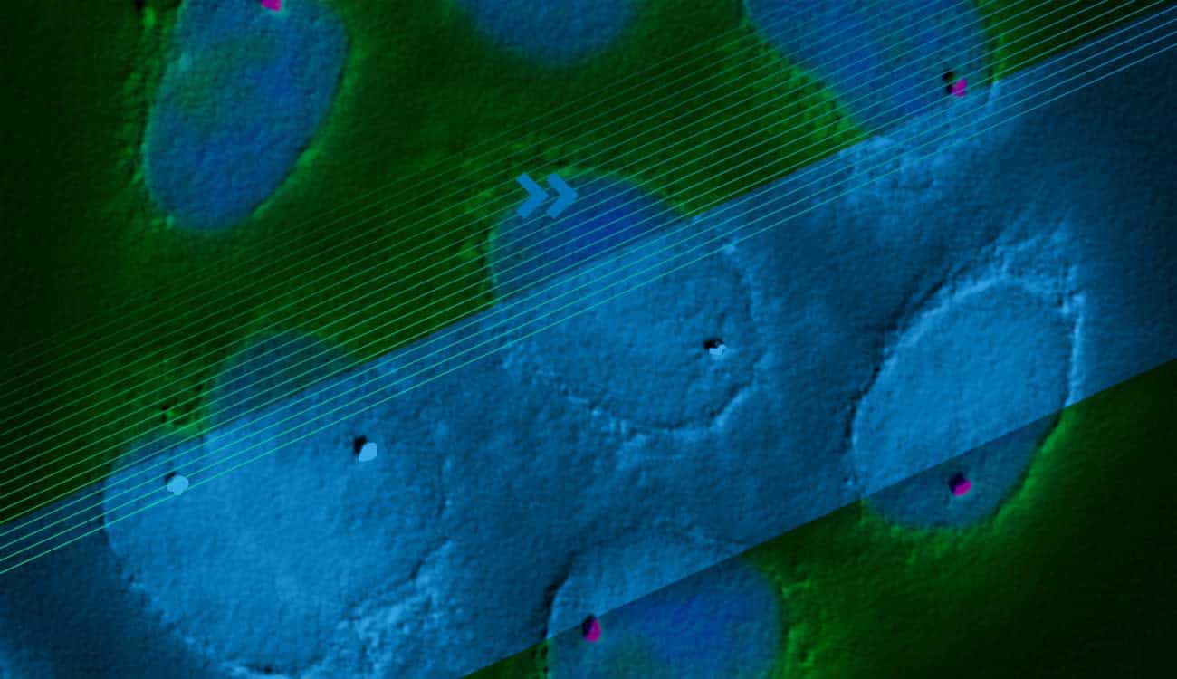 How Being A Product Manager Means Creating Internal Startups In A Company: Head Of Product At Despegar