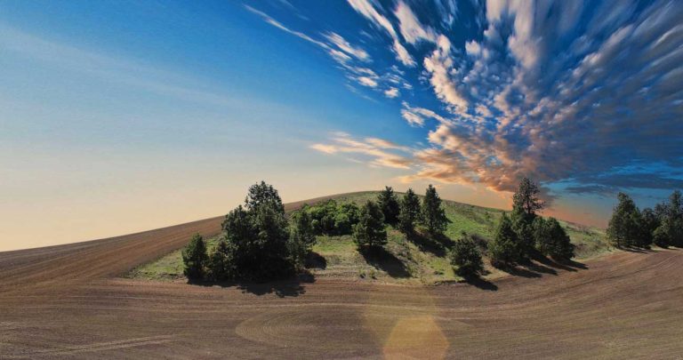 Basf Launches Agrostart In Mexico And Central America, Seeking To Feed Us Sustainably In A Scarcer Future