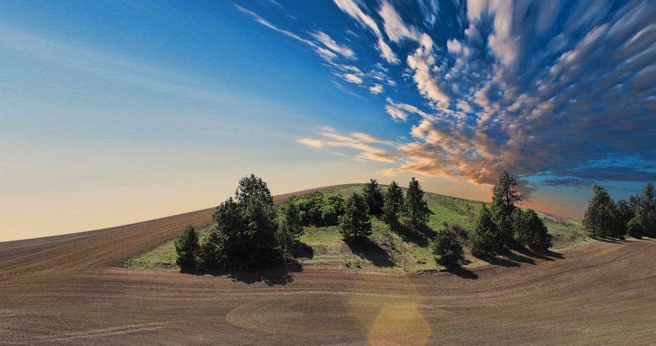 Basf Launches Agrostart In Mexico And Central America, Seeking To Feed Us Sustainably In A Scarcer Future