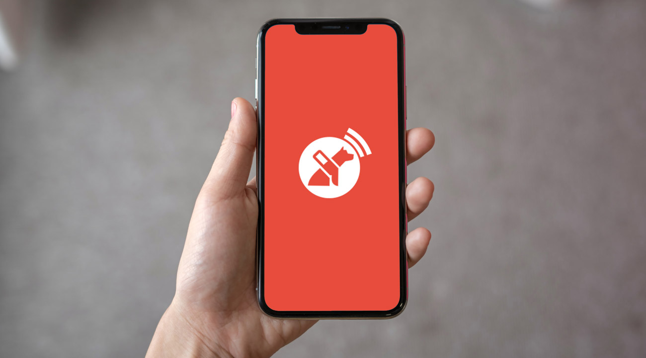 Chilean Startup Lazarillo Enters United States With App For Visually Impaired