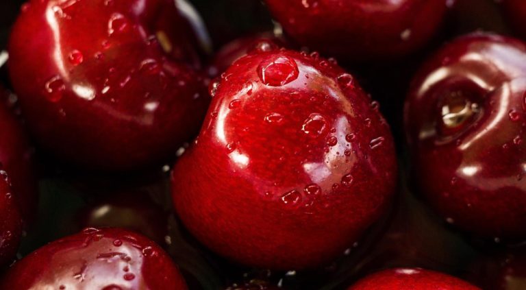 Polynatural Raises Us$800,000 Investment With Chileglobal Ventures