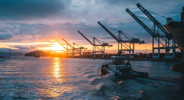 Covid Has Blinded Import Dependent Companies So Nowports Opened Its Ai Tracking For All