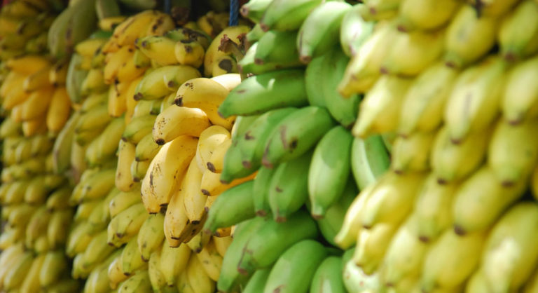 Meet Platanus Ventures, Chile’s Newest Incubator. It Is Picky As F...