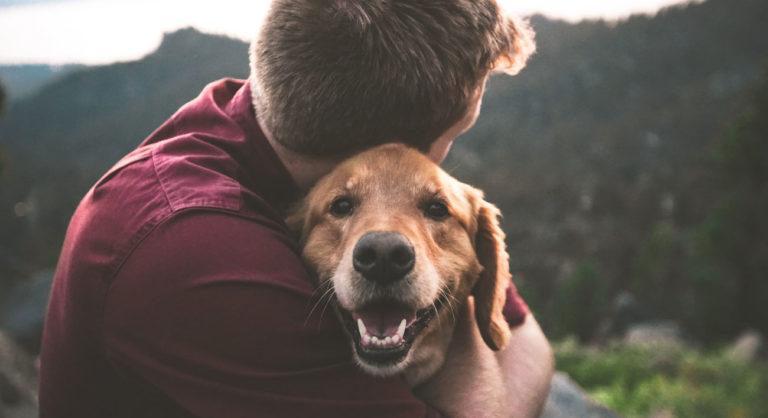 The Cat’s Out Of The Bag! Petlove Raises Us$48 Million With Softbank