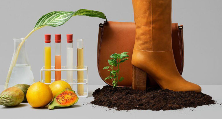 Vegan Leather Startup, Le Qara, Among Finalists At Mit $100k Entrepreneurship Competition