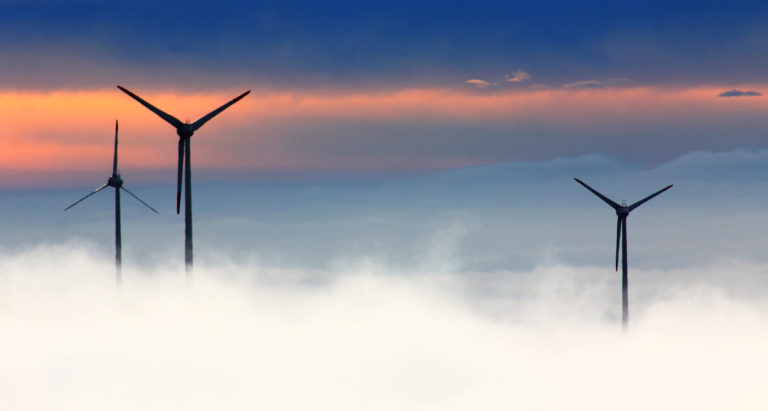 Looking To Scale Up In Latin America? Wind Ventures Is Looking For You