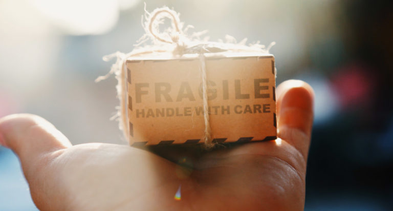 Canary, Norte Ventures, And Angels Invest Us$1 Million In Rapicare