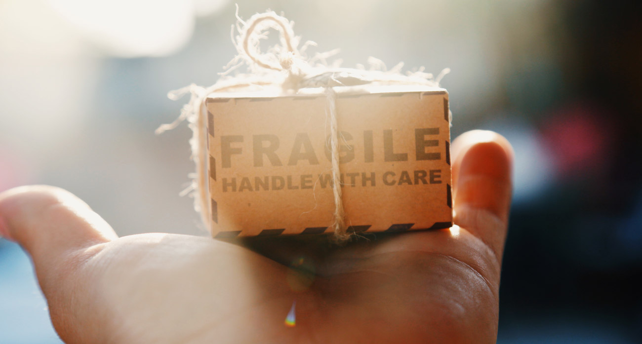 Canary, Norte Ventures, And Angels Invest Us$1 Million In Rapicare