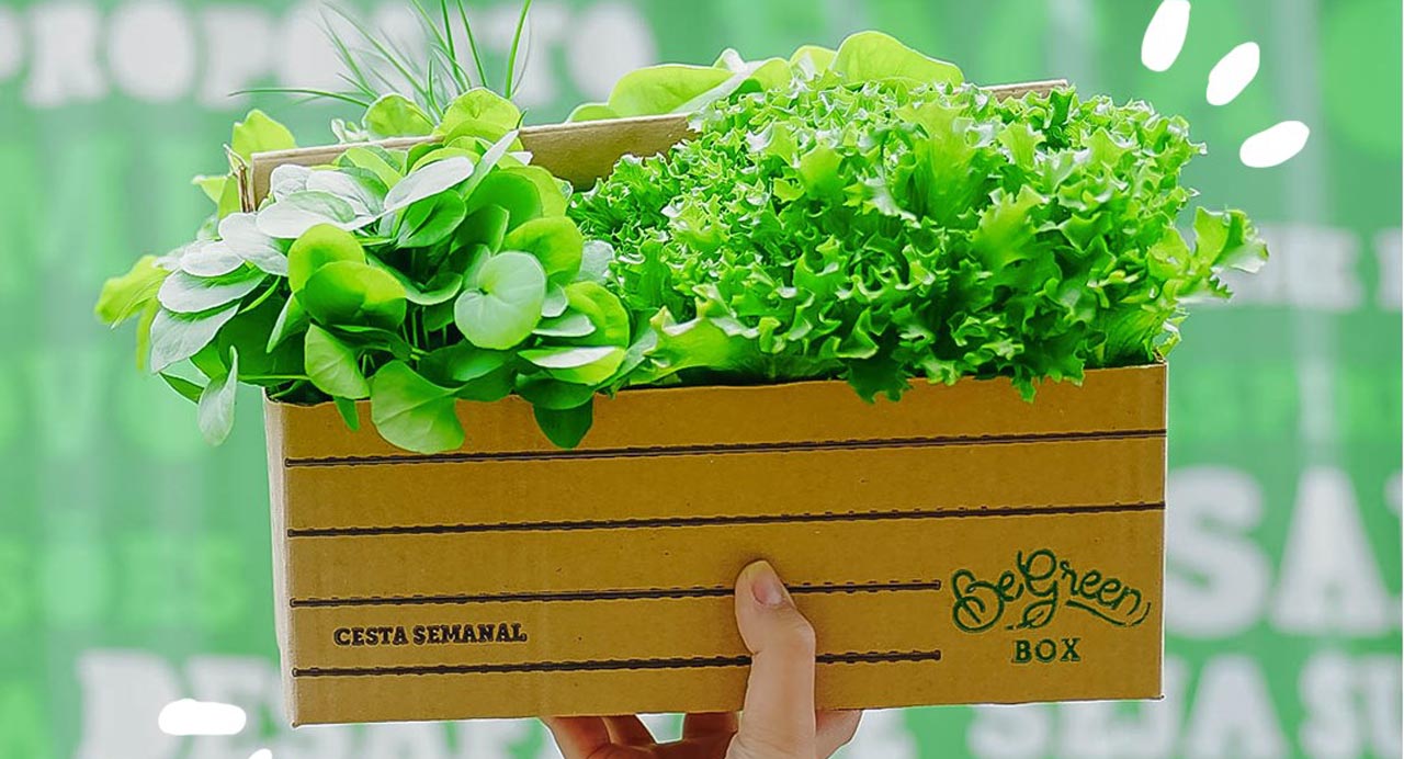 Begreen Raises Us$3 Million To Open More Urban Farms In Brazil
