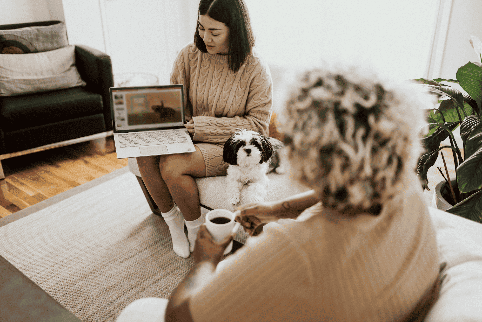 Softbank Leads The Us$3.5 Million Round For Colombian Startup Neivor