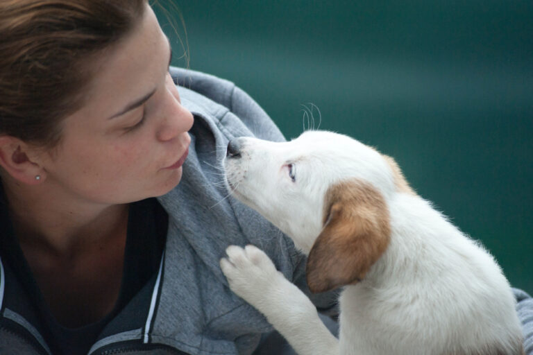 Vetlia-Mexico-Funding