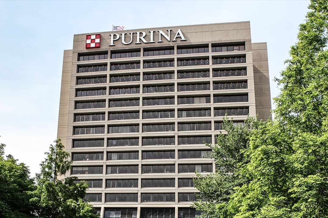 Purina launched a new edition of its acceleration program 'Unleashed', which for the first time will seek petcare startups from Brazil and Mexico.