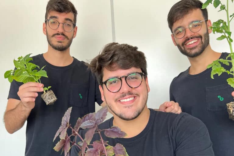 brazilian startup Brota