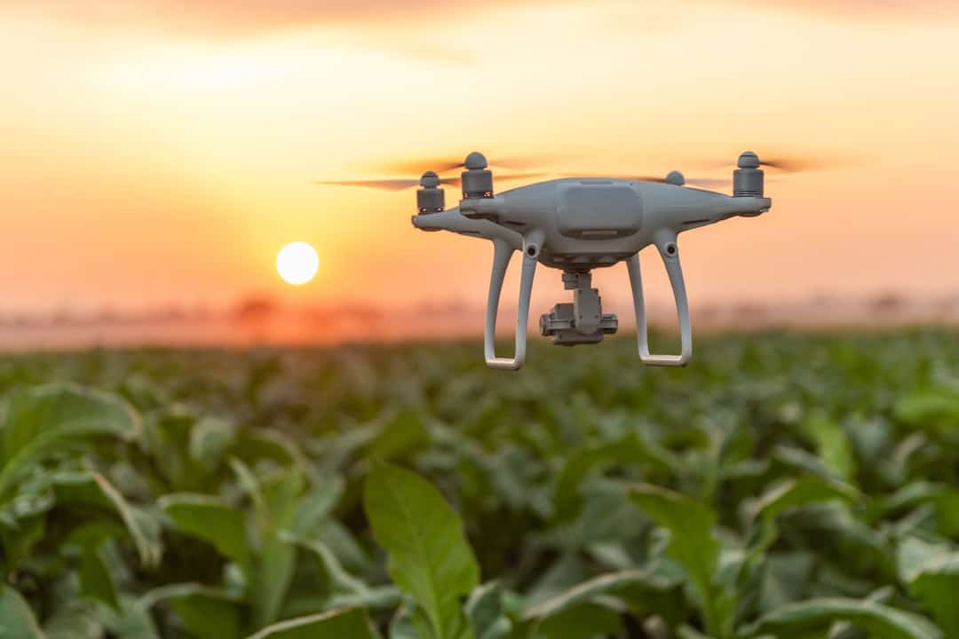 Nax Solutions agtech Spain