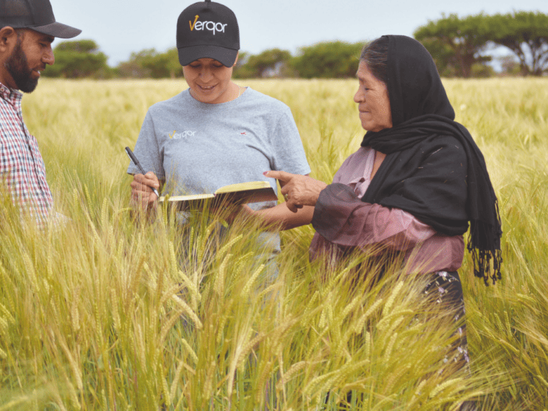 Verqor logró recaudar USD$7.5 millones, de los cuales USD$4 millones corresponden a una ronda pre-Serie A liderada por Yara Growth Ventures. 