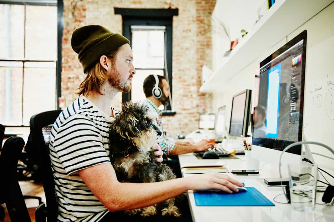 startup mexicana tu mejor amigo