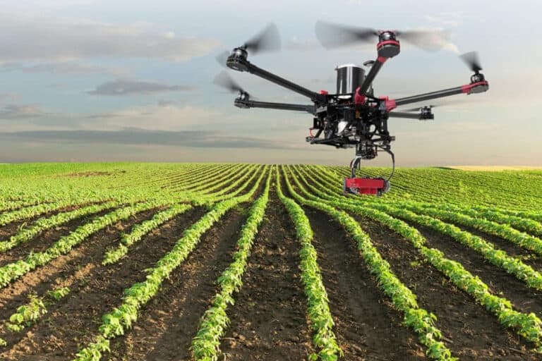 Visa Brasil Agrotoken