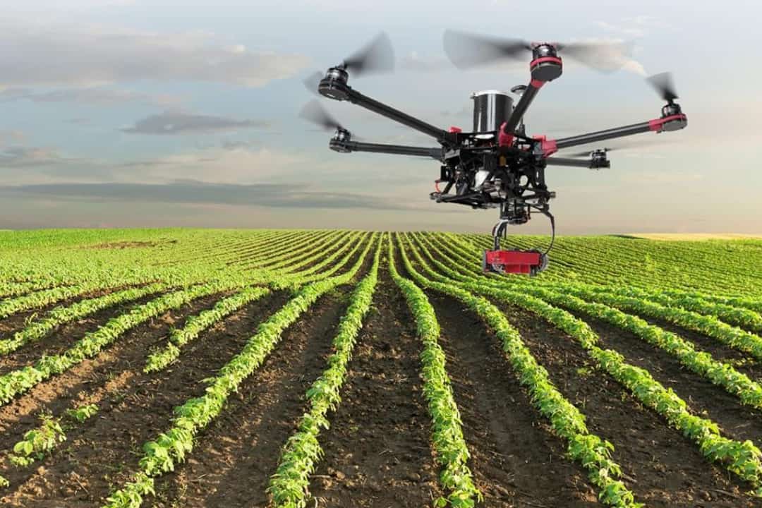 Visa Brasil Agrotoken