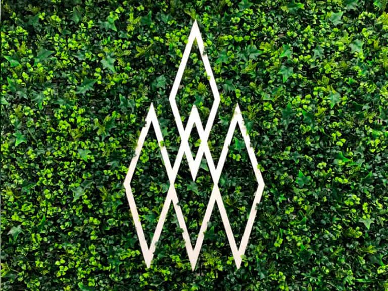 Votum World destaca en el mercado del cannabidiol (CBD) mediante la implementación de procesos innovadores y de investigación.